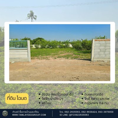 ที่ดิน 200 ตร.วา รั้วคอนกรีตสำเร็จรูป ปลูกมะนาวท้ายแปลง