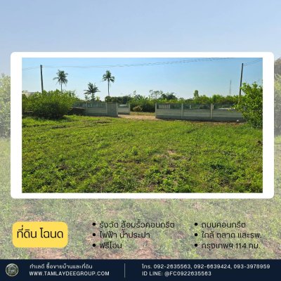 ที่ดิน 200 ตร.วา รั้วคอนกรีตสำเร็จรูป ปลูกมะนาวท้ายแปลง