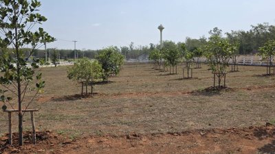 บ้านสวน สไตล์มินิมอล บนพื้นที่ 4 ไร่ 2 งาน มีบริเวณเยอะ