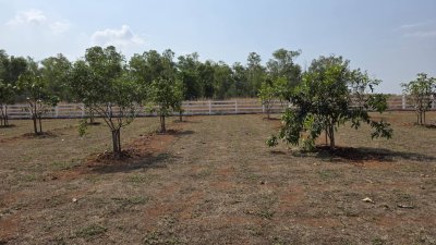 บ้านสวน สไตล์มินิมอล บนพื้นที่ 4 ไร่ 2 งาน มีบริเวณเยอะ