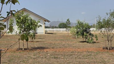 บ้านสวน สไตล์มินิมอล บนพื้นที่ 4 ไร่ 2 งาน มีบริเวณเยอะ