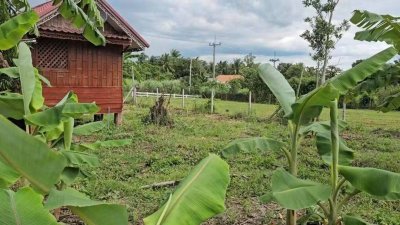 ที่ดินโฉนดติดถนนลาดยาง ทำเลค้าขายได้ เขตชุมชน ใกล้ถนนทางหลวง