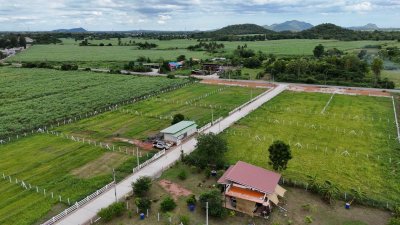 ที่ดินติดถนนทางหลวง ทำเลค้าขาย ที่อยู่อาศัย อ.โพธาราม จ.ราชบุรี
