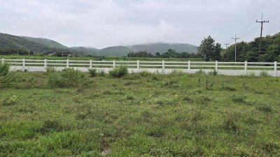 ที่ดินโฉนดวิวเขา ไม่มีประวัติน้ำท่วม ติดถนนทางหลวง 233 ตร.วา 590,000.-