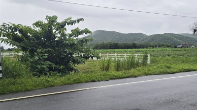 ที่ดินโฉนดวิวเขา ไม่มีประวัติน้ำท่วม ติดถนนทางหลวง 233 ตร.วา 590,000.-