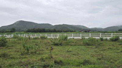 ที่ดินโฉนดวิวเขา ไม่มีประวัติน้ำท่วม ติดถนนทางหลวง 233 ตร.วา 590,000.-