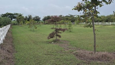 2 ไร่ 2 งาน 1,600,000 บาท ต.หนองกวาง อ.โพธาราม จ.ราชบุรี