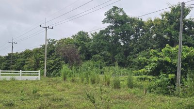 ที่ดินโฉนดวิวเขา ไม่มีประวัติน้ำท่วม ติดถนนทางหลวง 233 ตร.วา 590,000.-