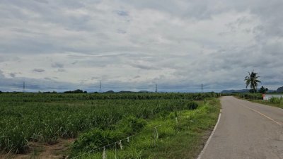 ที่ดินทำเลติดถนนลาดยาง ทางสาธารณะ 2 ด้าน วิวเขา ต.ปากช่อง อ.จอมบึง จ.ราชบุรี