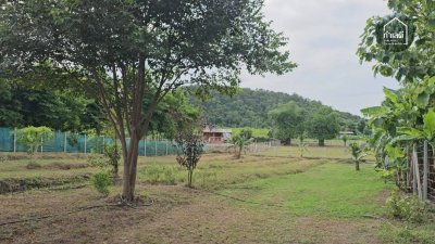บ้านแถมเฟอร์นิเจอร์พร้อมอยู่ และสวนผสมผสาน บนที่ดินโฉนด 2 ไร่