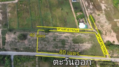 โฉนดครุฑแดงนส. 4 จ.เนื้อที่ 2 ไร่ ไร่ละ 390,000.-