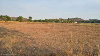 ที่ดินโฉนดติดเขา ติดถนนลาดยาง ราคาไร่ละ 350,000 บาท