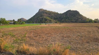 ที่ดินโฉนดติดเขา ติดถนนลาดยาง ราคาไร่ละ 350,000 บาท