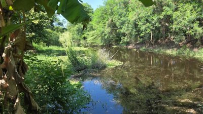 ที่ดินโฉนดติดคลองสาธารณะ เนื้อที่ 1 ไร่ ราคา 600,000 บาท