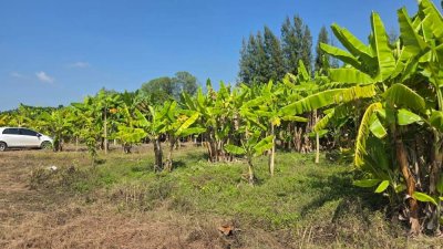 ที่ดินโฉนดติดคลองสาธารณะ เนื้อที่ 1 ไร่ ราคา 600,000 บาท