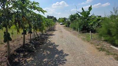 ที่ดินโฉนดติดคลองสาธารณะ เนื้อที่ 1 ไร่ ราคา 600,000 บาท