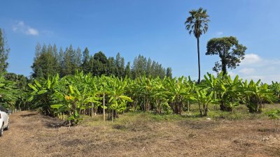 ที่ดินโฉนดติดคลองสาธารณะ เนื้อที่ 1 ไร่ ราคา 600,000 บาท