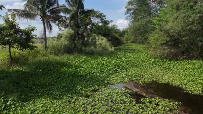 ที่ดินโฉนดติดคลองสาธารณะ เนื้อที่ 1 ไร่ ราคา 600,000 บาท