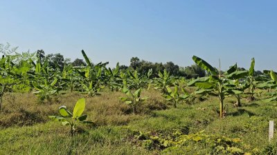 ที่ดินโฉนดติดคลองสาธารณะ เนื้อที่ 1 ไร่ ราคา 600,000 บาท