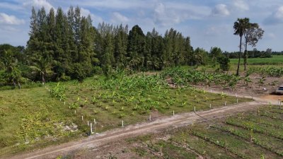 ที่ดินโฉนดติดคลองสาธารณะ เนื้อที่ 1 ไร่ ราคา 600,000 บาท