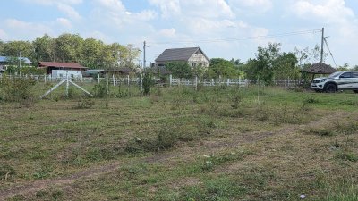 ขายที่ดินใกล้ถนนใหญ่ 100ม. มีเพื่อนบ้าน อยู่ใกล้อบต.เบิกไพร