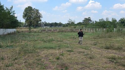 ขายที่ดินใกล้ถนนใหญ่ 100ม. มีเพื่อนบ้าน อยู่ใกล้อบต.เบิกไพร