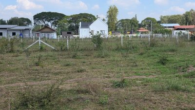 ขายที่ดินใกล้ถนนใหญ่ 100ม. มีเพื่อนบ้าน อยู่ใกล้อบต.เบิกไพร