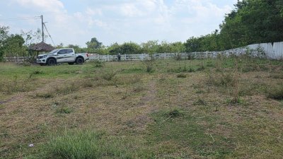 ขายที่ดินใกล้ถนนใหญ่ 100ม. มีเพื่อนบ้าน อยู่ใกล้อบต.เบิกไพร