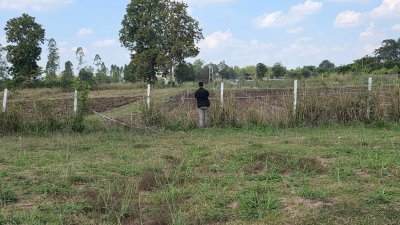 ขายที่ดินใกล้ถนนใหญ่ 100ม. มีเพื่อนบ้าน อยู่ใกล้อบต.เบิกไพร