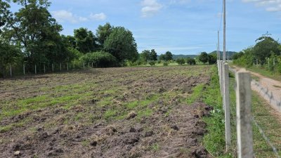 ที่ดินติดถนนลาดยาง ไผ่สามเกาะ-หนองไก่ขัน