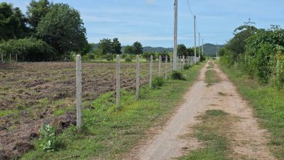 ที่ดินติดถนนลาดยาง ไผ่สามเกาะ-หนองไก่ขัน