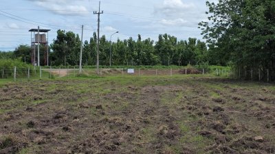 ที่ดินติดถนนลาดยาง ไผ่สามเกาะ-หนองไก่ขัน