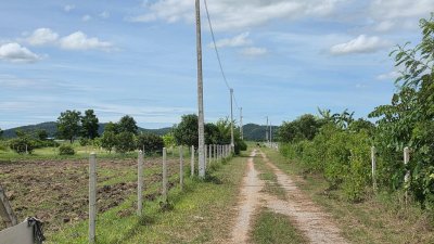 ที่ดินติดถนนลาดยาง ไผ่สามเกาะ-หนองไก่ขัน
