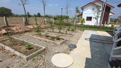 บ้านพร้อมที่ดิน 1 ไร่ 1 งาน 29 ตร.วา บ้านทรงไทยคู่ (น๊อคดาวน์)