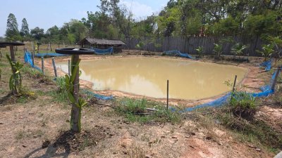 บ้านพร้อมที่ดิน 1 ไร่ 1 งาน 29 ตร.วา บ้านทรงไทยคู่ (น๊อคดาวน์)