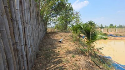 บ้านพร้อมที่ดิน 1 ไร่ 1 งาน 29 ตร.วา บ้านทรงไทยคู่ (น๊อคดาวน์)