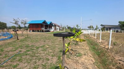 บ้านพร้อมที่ดิน 1 ไร่ 1 งาน 29 ตร.วา บ้านทรงไทยคู่ (น๊อคดาวน์)