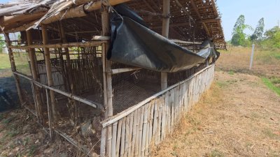 บ้านพร้อมที่ดิน 1 ไร่ 1 งาน 29 ตร.วา บ้านทรงไทยคู่ (น๊อคดาวน์)