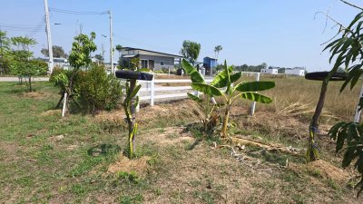 บ้านพร้อมที่ดิน 1 ไร่ 1 งาน 29 ตร.วา บ้านทรงไทยคู่ (น๊อคดาวน์)