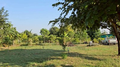 บ้านสวนทำเลติดถนนลาดยาง 2.2ล้าน