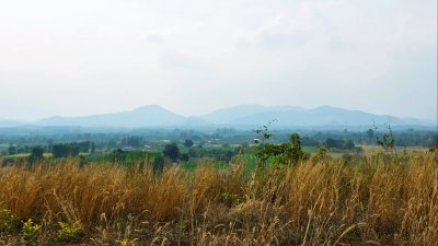 ขายที่ดิน โลเคชั่นทะเลหมอก แบ่งขาย 10 ไร่ขั้นต่ำ