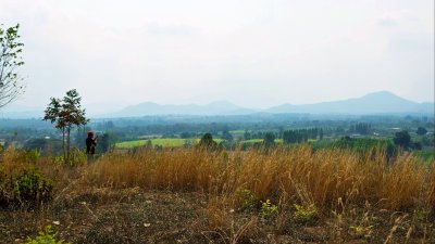 ขายที่ดิน โลเคชั่นทะเลหมอก แบ่งขาย 10 ไร่ขั้นต่ำ