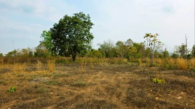 ขายที่ดิน โลเคชั่นทะเลหมอก แบ่งขาย 10 ไร่ขั้นต่ำ