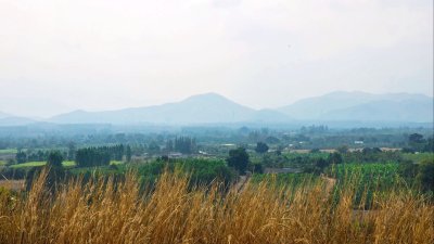 ขายที่ดิน โลเคชั่นทะเลหมอก แบ่งขาย 10 ไร่ขั้นต่ำ