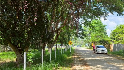 ที่ดินติดถนนหลักสวนผึ้ง ไร่ละ 300,000.- หัวมุมถนน ติดถนน 2ด้าน ไม่มีประวัติน้ำท่วม