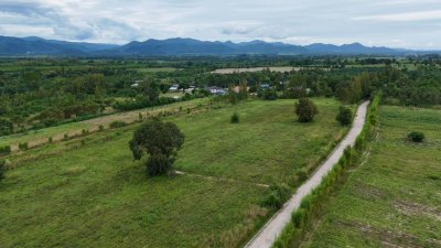 ที่ดินติดถนนหลักสวนผึ้ง ไร่ละ 300,000.- หัวมุมถนน ติดถนน 2ด้าน ไม่มีประวัติน้ำท่วม