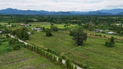 ที่ดินติดถนนหลักสวนผึ้ง ไร่ละ 300,000.- หัวมุมถนน ติดถนน 2ด้าน ไม่มีประวัติน้ำท่วม