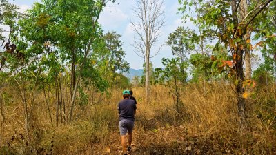 ขายที่ดิน โลเคชั่นทะเลหมอก บนเนินเขา ติดถนนลาดยาง เอกสารโฉนดครุฑแดง