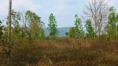 ขายที่ดิน โลเคชั่นทะเลหมอก บนเนินเขา ติดถนนลาดยาง เอกสารโฉนดครุฑแดง