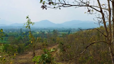 ขายที่ดิน โลเคชั่นทะเลหมอก บนเนินเขา ติดถนนลาดยาง เอกสารโฉนดครุฑแดง